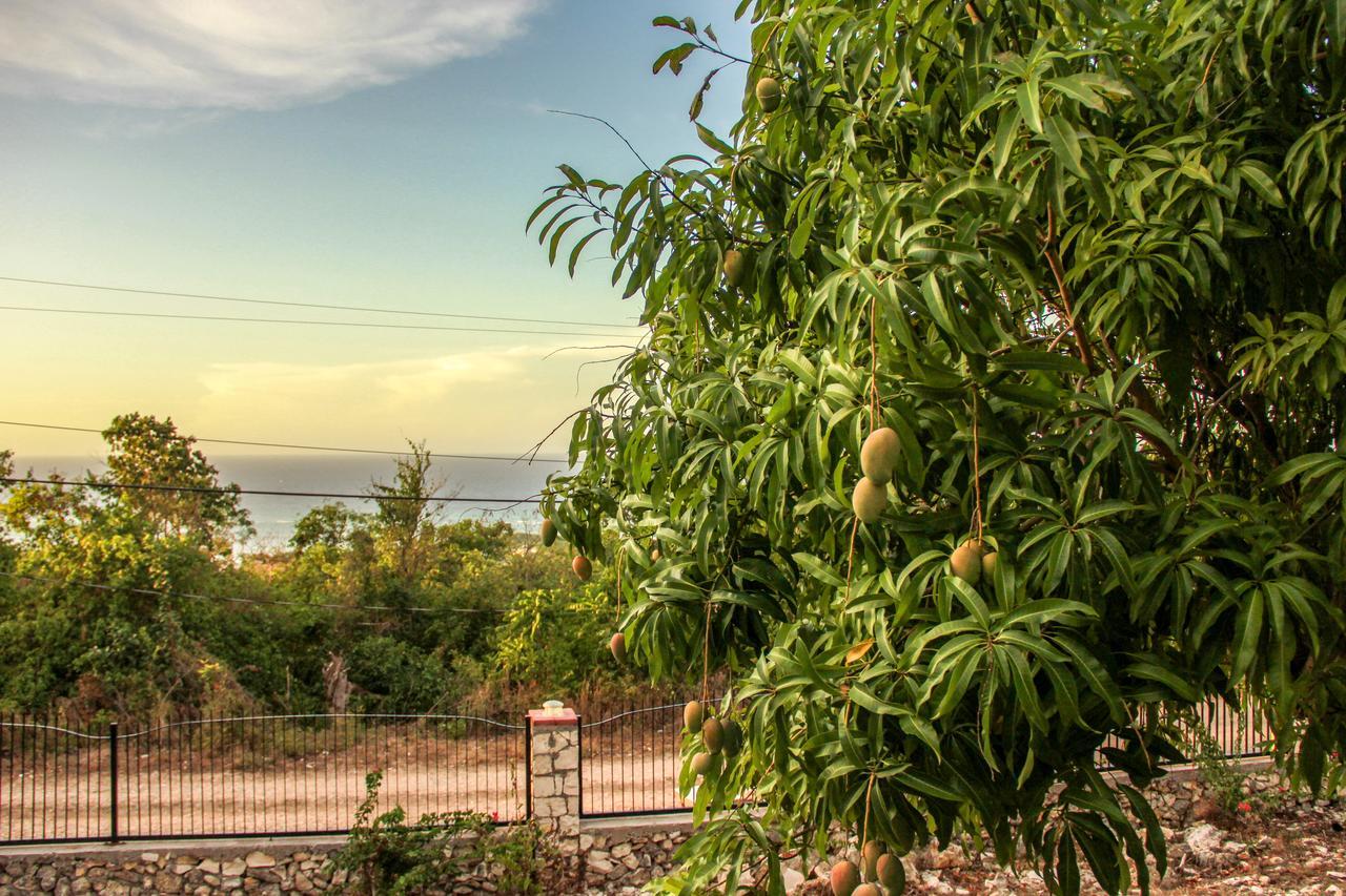Sunshine Lodge: Your Home Away From Home Montego Bay Exterior foto